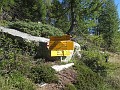 021_Madom_da_Sgiof_Passo_Deva_09-2016
