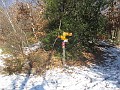 016_Morcote-Salvatore-21