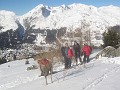 012_Buelenhorn_Januar_2022