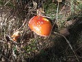 015_Madone_Oktober-2023