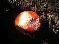 029_Malvaglia-2023